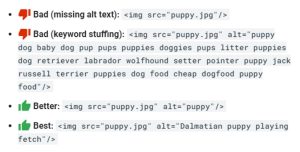 How to Make Use of Descriptive Alt Tags